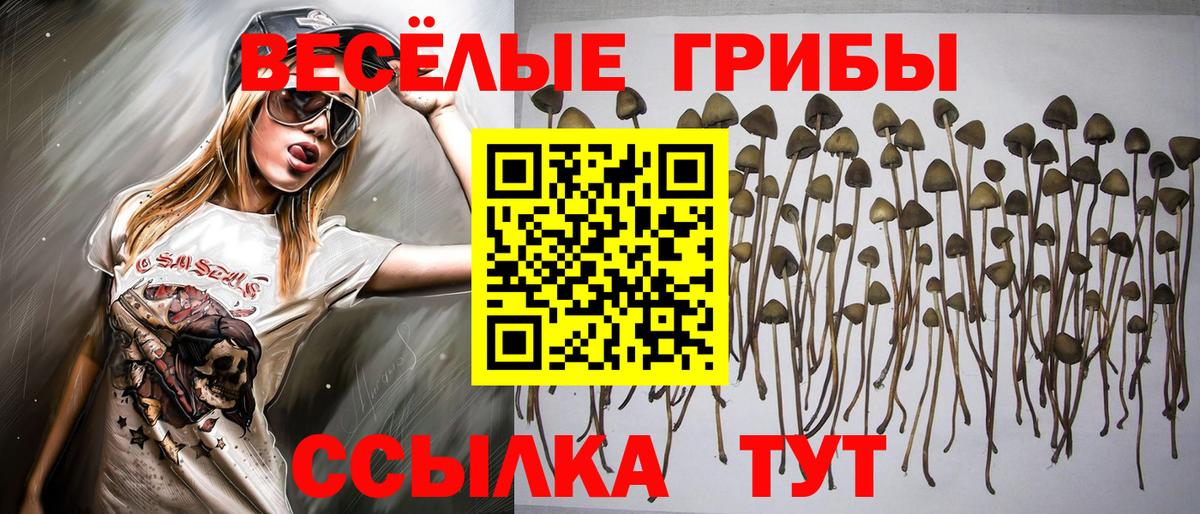 Псилоцибиновые грибы мухоморы Дербент