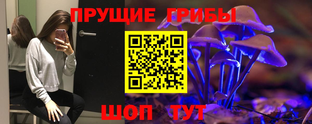 Псилоцибиновые грибы мицелий  Псилоцибиновые грибы Psilocybe  где найти   Дербент  Вход с VPN 